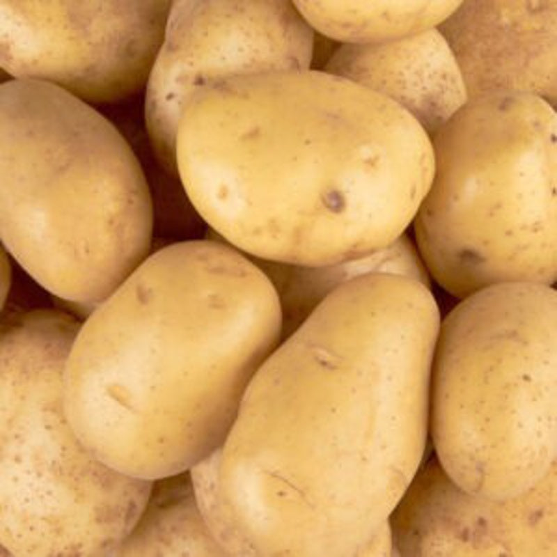 Potato - 1 Kgs