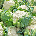 Cauliflower - 1 Kgs