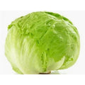 Iceberg Lettuce1 kg