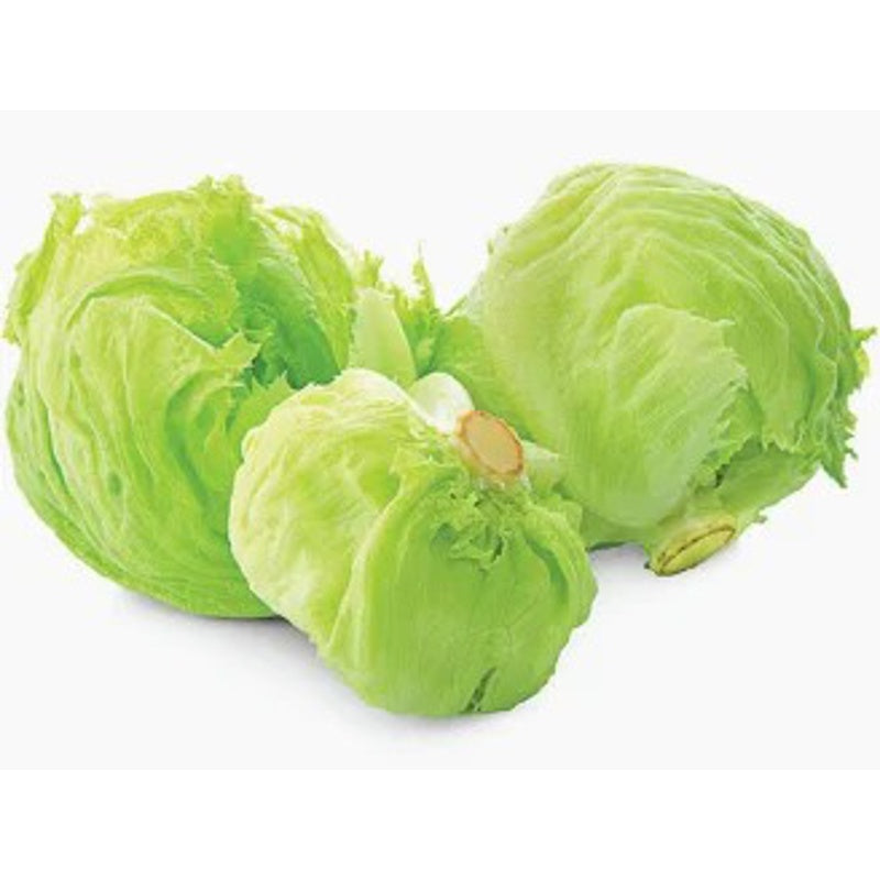 Iceberg Lettuce1 kg