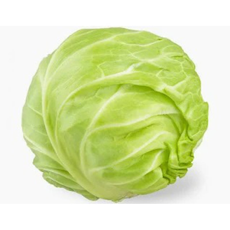 White Cabbage
