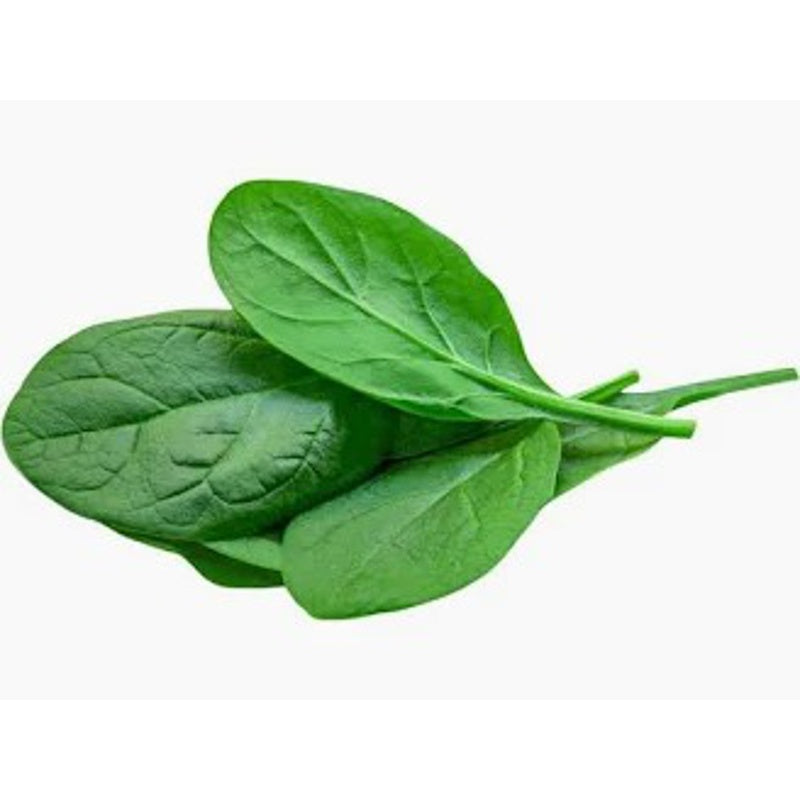 Baby Spinach