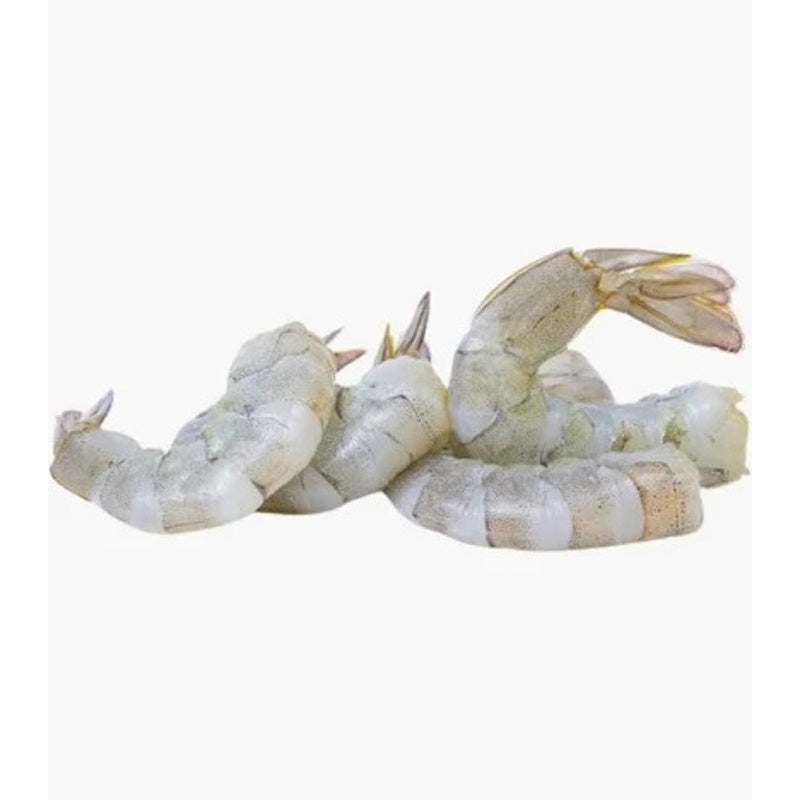 Shrimps PD 8/12 10 x 1Kg
