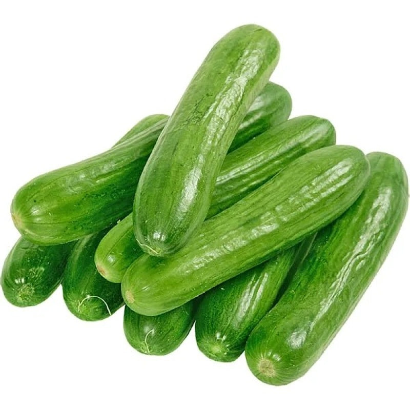 Fresh cuccumber per kg