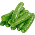 Fresh cuccumber per kg
