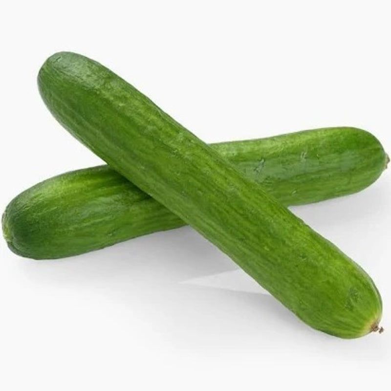Fresh cuccumber per kg