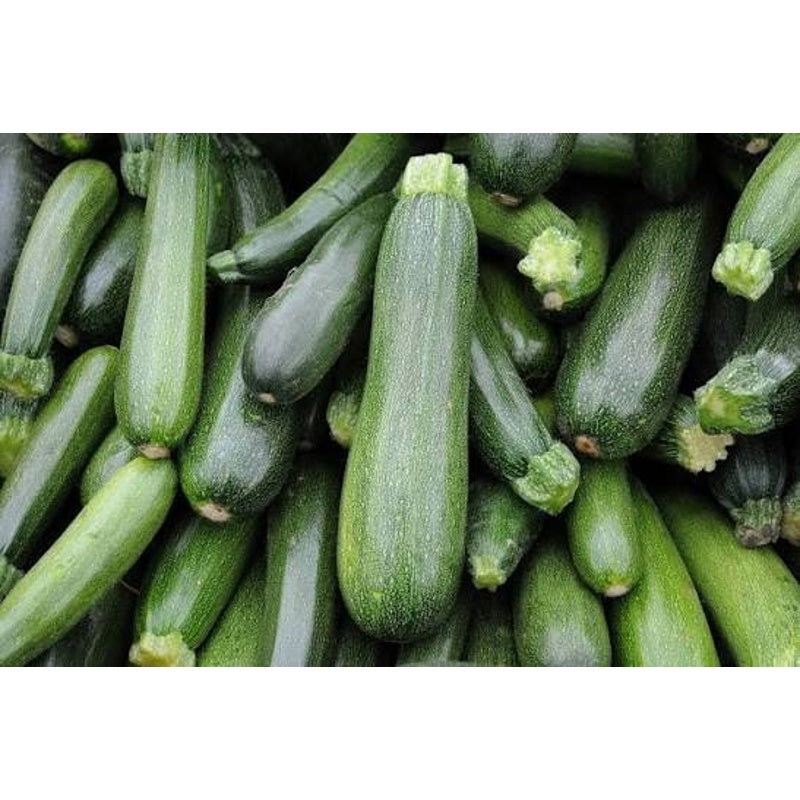 Fresh zucchini per kg