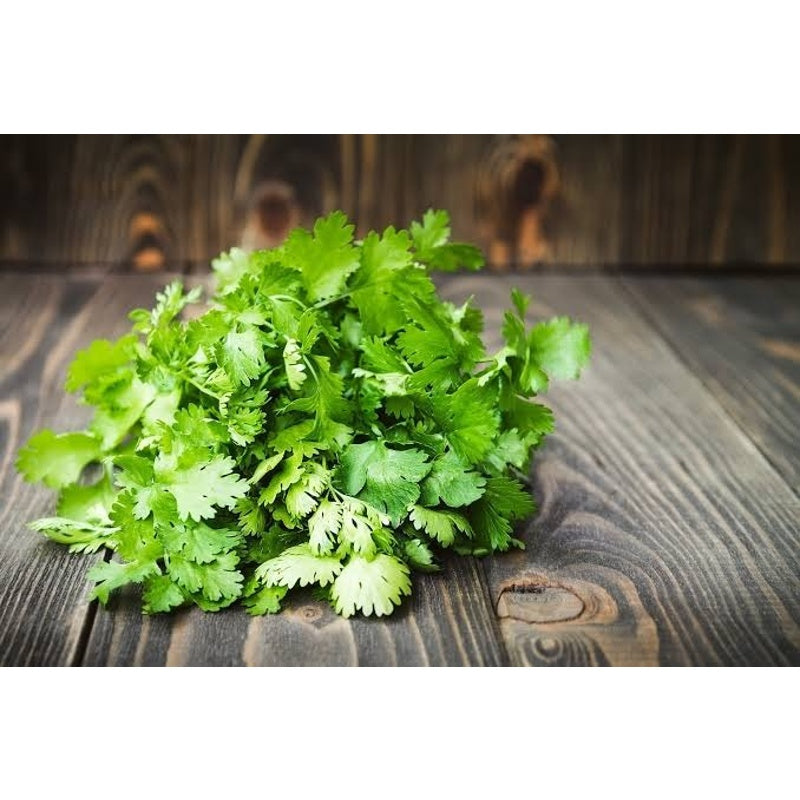Fresh coriander 250gm