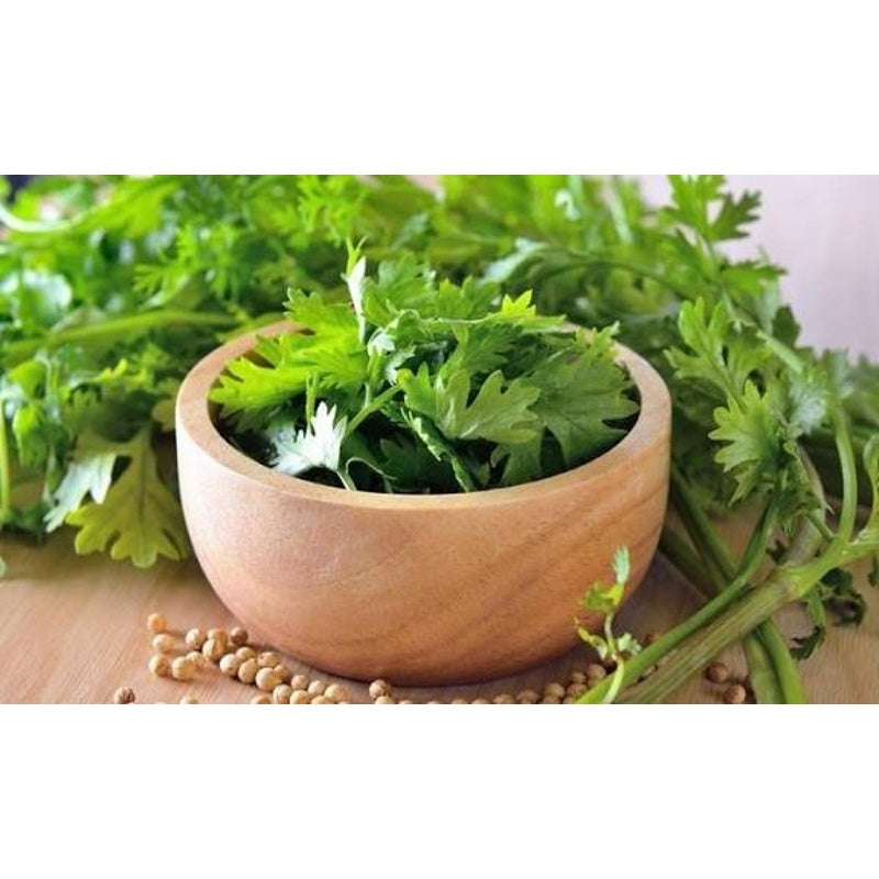 Fresh coriander 250gm