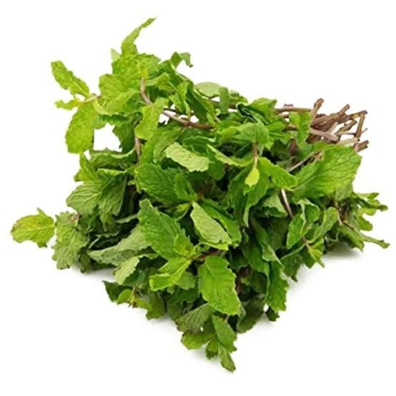 fresh mint 100gm