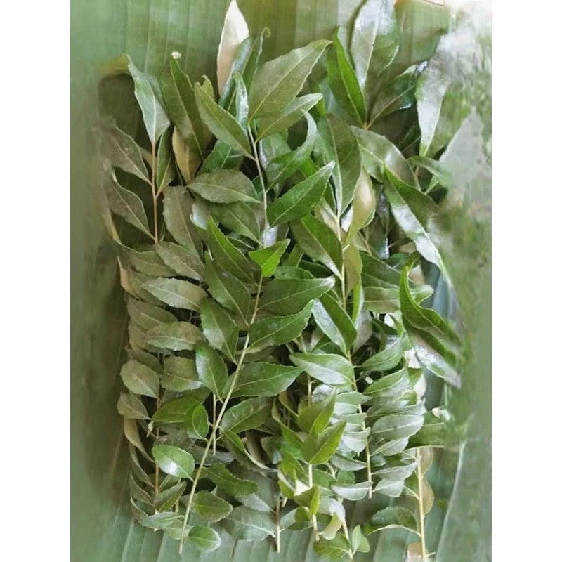 Fresh curry leaves 250gm