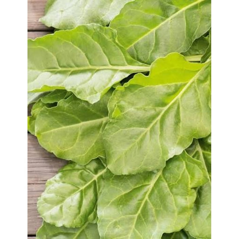 Fresh spinach 500gm
