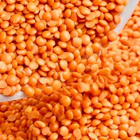 777 MASOOR DAL 15KG